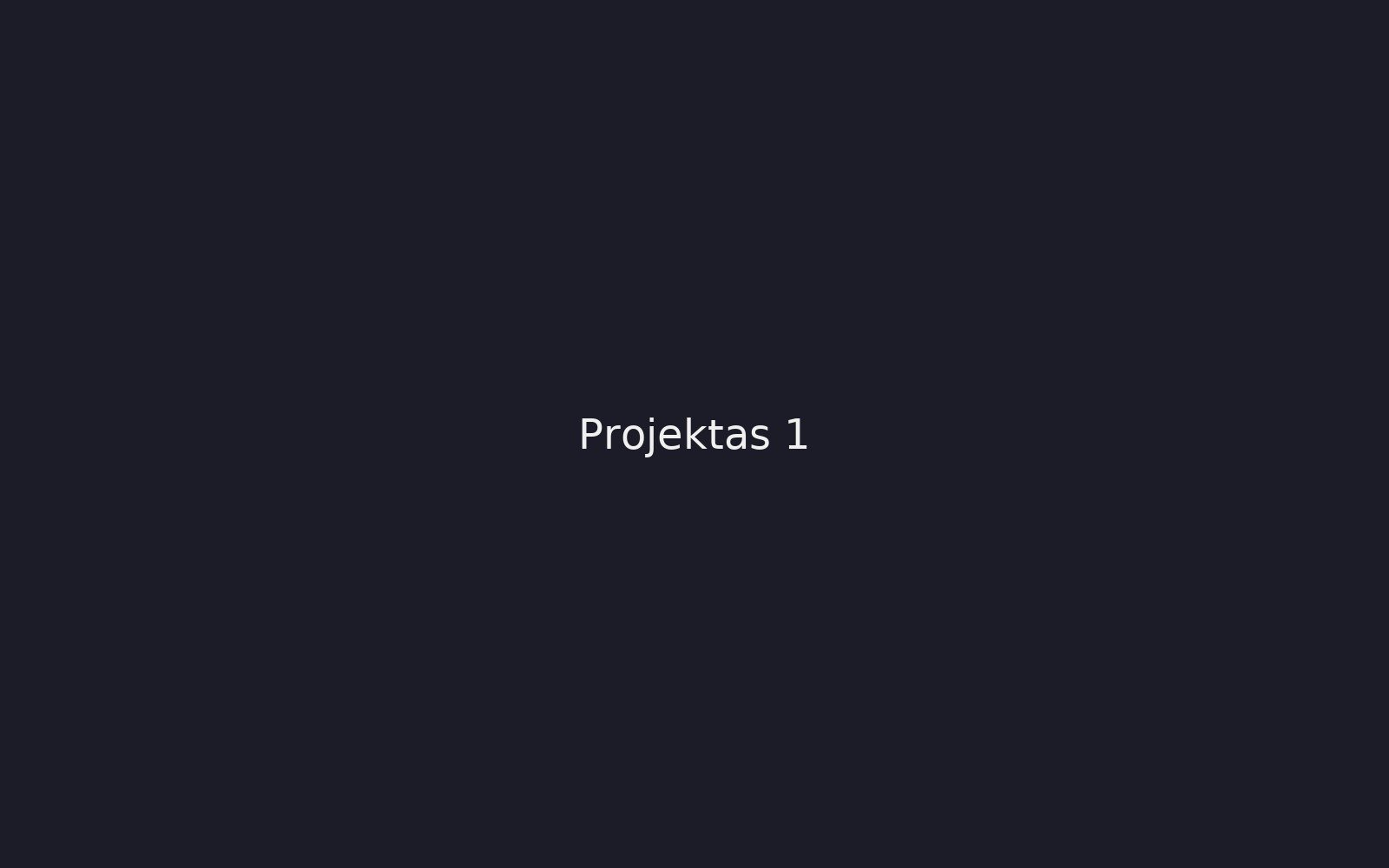 Projekto peržiūra